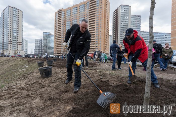 фото предоставлено компанией Setl Group